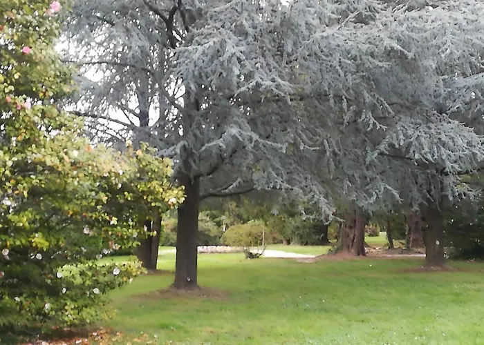 Camoscio With Private Garden Lejlighed